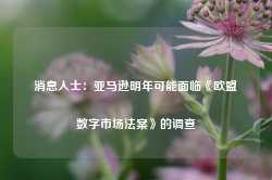 消息人士：亚马逊明年可能面临《欧盟数字市场法案》的调查-第1张图片-山东威力重工