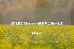 亚马逊将向Anthropic追加第二笔40亿美元投资-第1张图片-山东威力重工