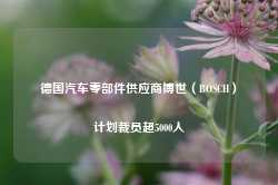 德国汽车零部件供应商博世（BOSCH）计划裁员超5000人-第1张图片-山东威力重工