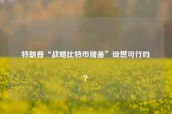 特朗普“战略比特币储备”设想可行吗？-第1张图片-山东威力重工