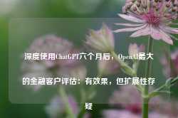 深度使用ChatGPT六个月后，OpenAI最大的金融客户评估：有效果，但扩展性存疑-第1张图片-山东威力重工