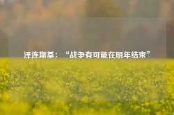 泽连斯基：“战争有可能在明年结束”-第1张图片-山东威力重工