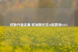 欧股开盘走高 欧洲斯托克50指数涨0.85%-第1张图片-山东威力重工