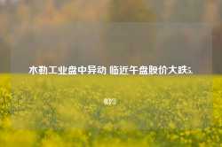 木勒工业盘中异动 临近午盘股价大跌5.03%-第1张图片-山东威力重工