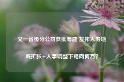 又一省级分公司获批筹建 友邦人寿地域扩张+人事调整下路向何方？-第1张图片-山东威力重工