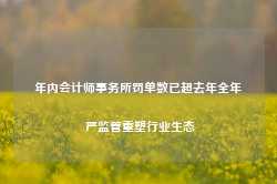 年内会计师事务所罚单数已超去年全年 严监管重塑行业生态-第1张图片-山东威力重工