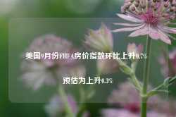 美国9月份FHFA房价指数环比上升0.7% 预估为上升0.3%-第1张图片-山东威力重工