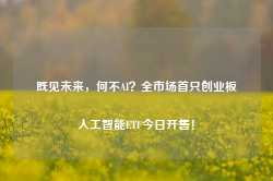 既见未来，何不AI？全市场首只创业板人工智能ETF今日开售！-第1张图片-山东威力重工