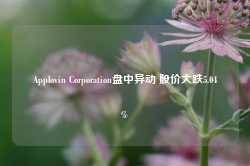 Applovin Corporation盘中异动 股价大跌5.04%-第1张图片-山东威力重工