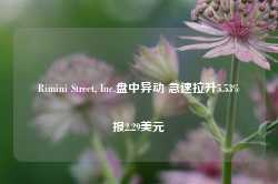 Rimini Street, Inc.盘中异动 急速拉升5.53%报2.29美元-第1张图片-山东威力重工