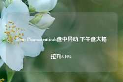 Terns Pharmaceuticals盘中异动 下午盘大幅拉升5.10%-第1张图片-山东威力重工