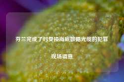 芬兰完成了对受损海底数据光缆的犯罪现场调查-第1张图片-山东威力重工