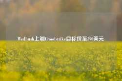 Wedbush上调Crowdstrike目标价至390美元-第1张图片-山东威力重工