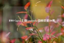 BMO Capital上调Crowdstrike目标价至380美元-第1张图片-山东威力重工