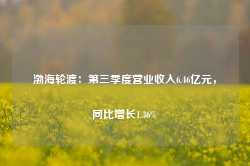 渤海轮渡：第三季度营业收入6.46亿元，同比增长1.36%-第1张图片-山东威力重工